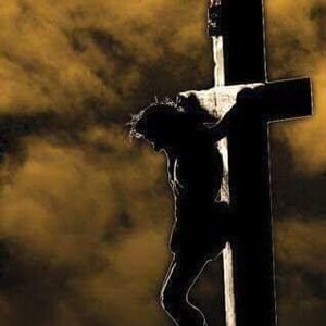 Meet your Posher, Addis